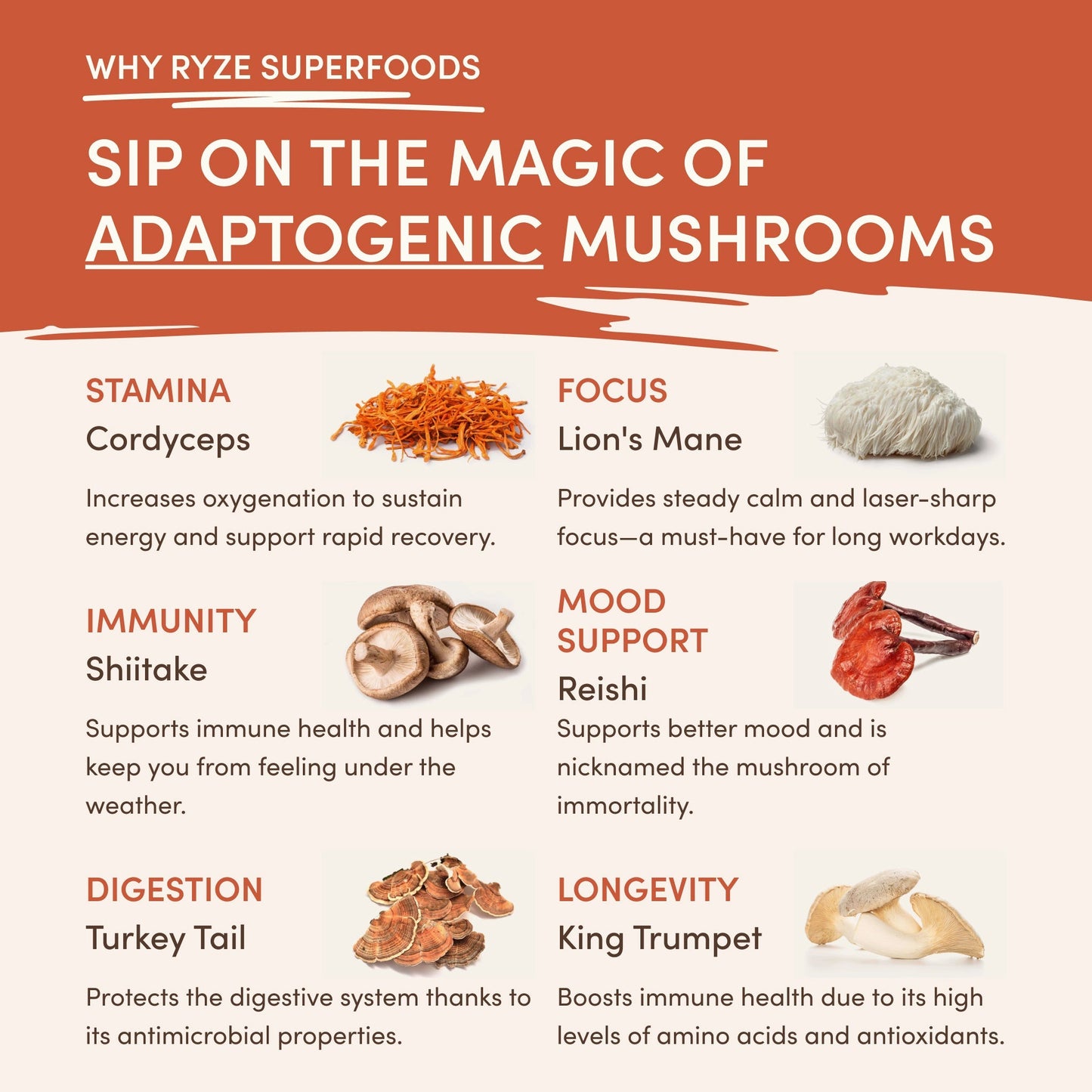 Mocha Creamer 2-Pack
